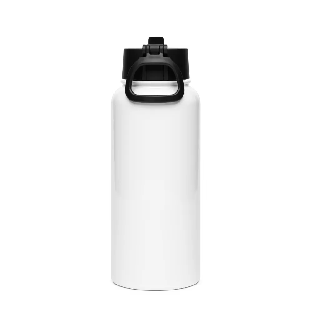 Stainless steel water bottle with a straw lid